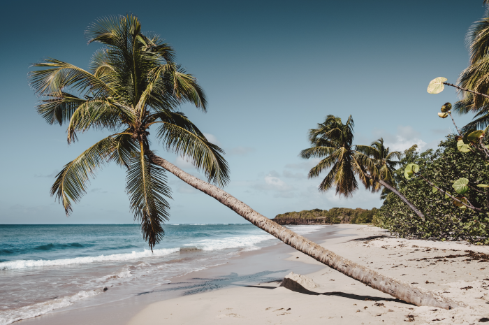 Vacanza alle Grenadine: 10 giorni partendo da Martinica