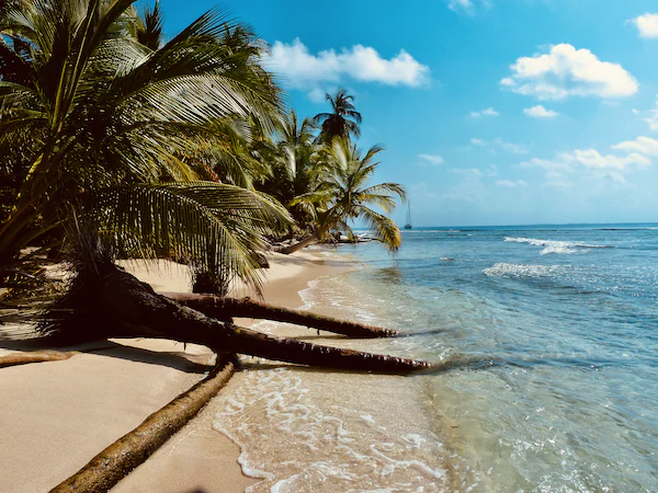 5 migliori destinazioni da visitare in barca ai Caraibi