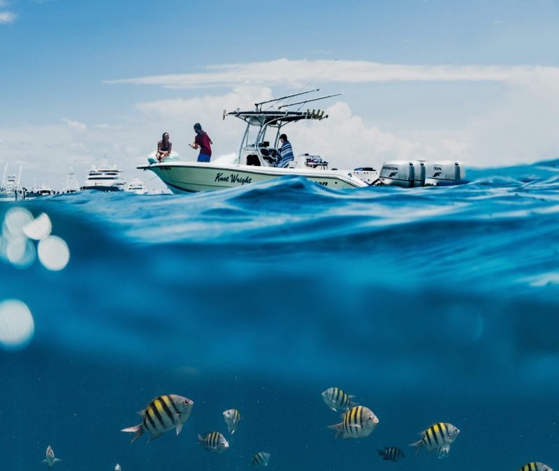 Prenota una Battuta di Pesca Guidata a Ibiza