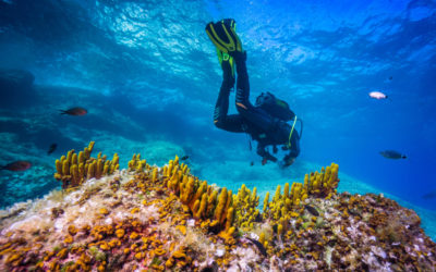 Noleggio barche ed escursioni per immersioni a Maiorca
