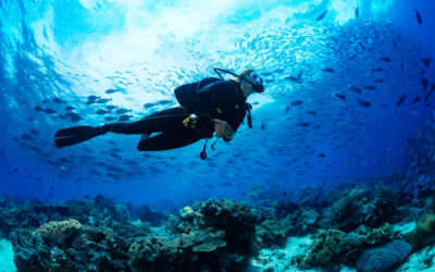 Noleggio barche per immersioni ed escursioni alle Bahamas